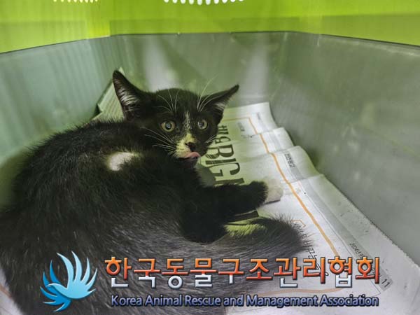 한국동물구조관리협회_411323202401021